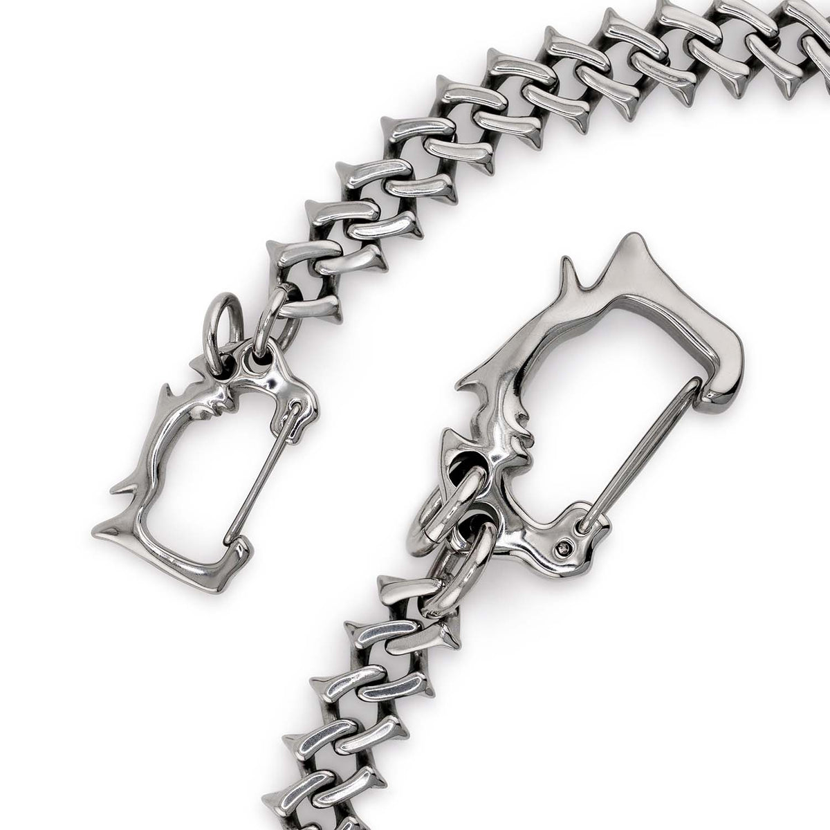 Raptor Link Wallet Chain