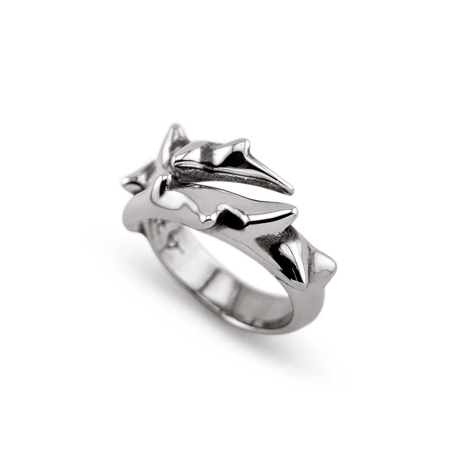 Crown of Thorns Ring Necklaces Personal Fears Personal Fears 