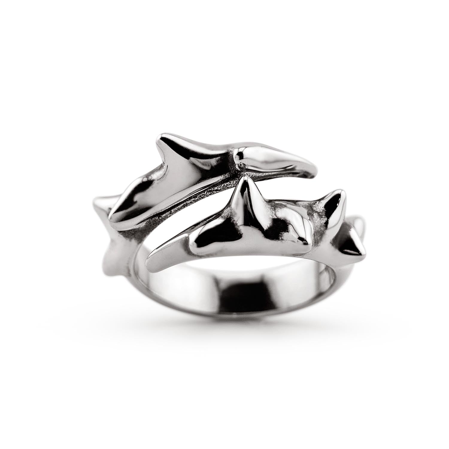 Crown of Thorns Ring Necklaces Personal Fears Personal Fears 